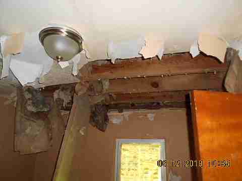 18961 Joann (14)_m.jpg